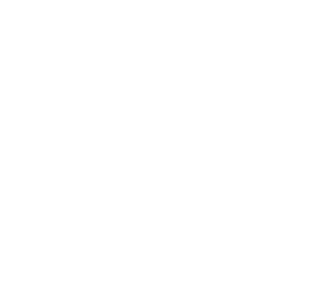final logo design IBS all white-02
